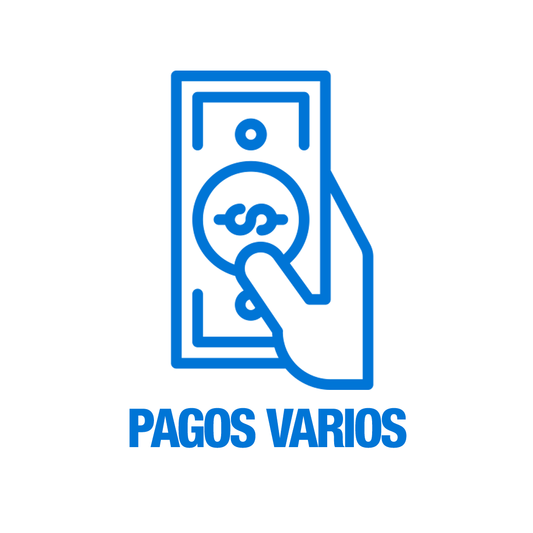 Pagos Varios