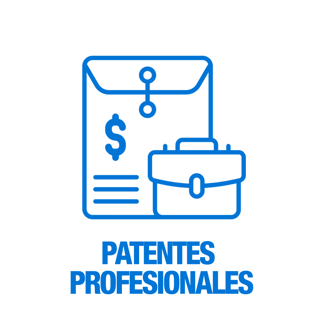 Pago Patentes Profesionales