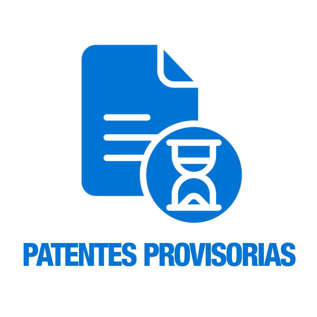 Pago Patentes Provisorias